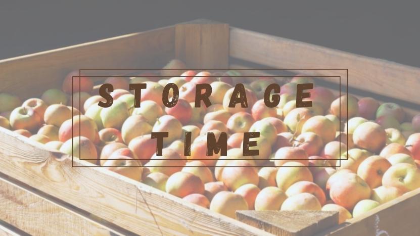 storage time