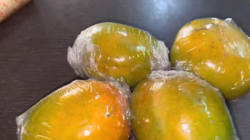 mango wrapped in PVC foil