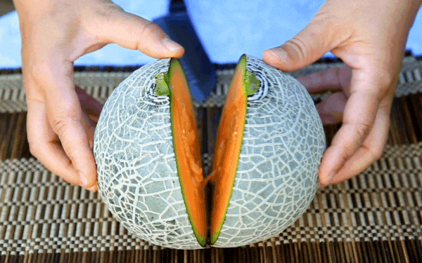 melon casaba
