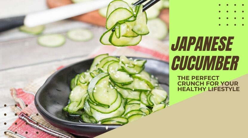 japanese cucumber