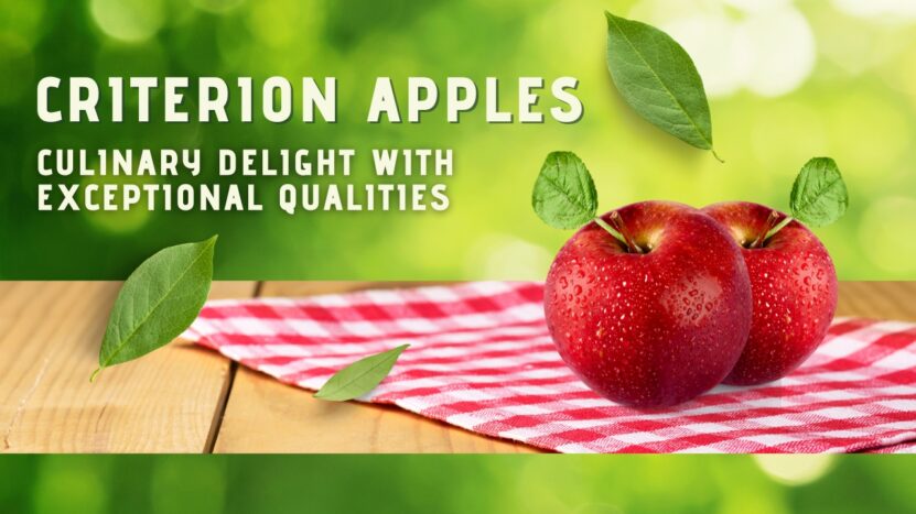 Criterion Apples Culinary Delight with Exceptional Qualities